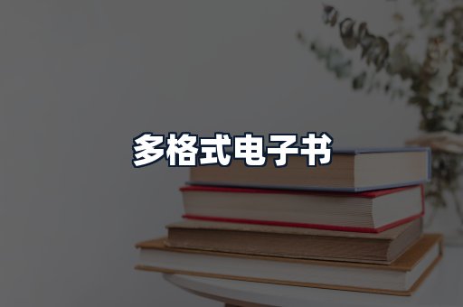 多格式电子书